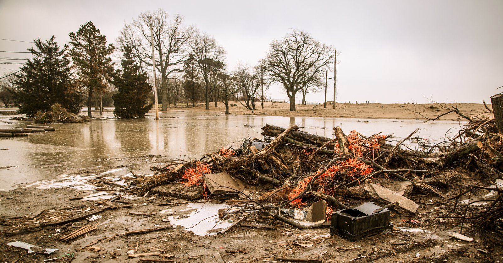 art-of-sandy-mo-staten island 2-26.jpg